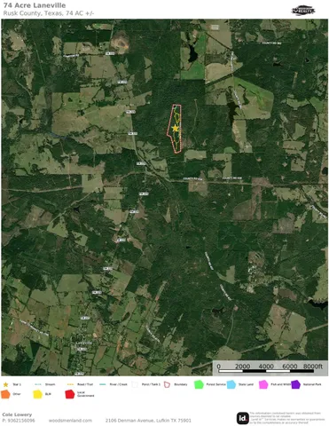 a black and white photo of a tree