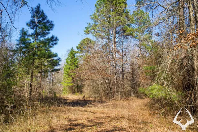 a view of wooden fence under a large tree