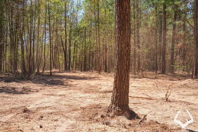 a view of a backyard of the house