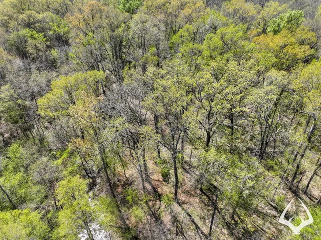 a view of a yard with trees