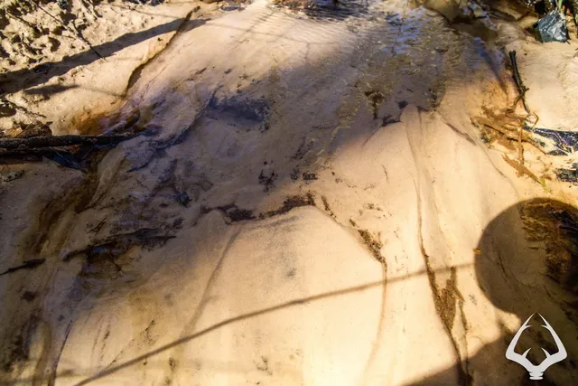 an aerial view of a houses with a lush green forest