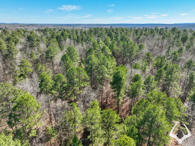 a view of tree in front of a house