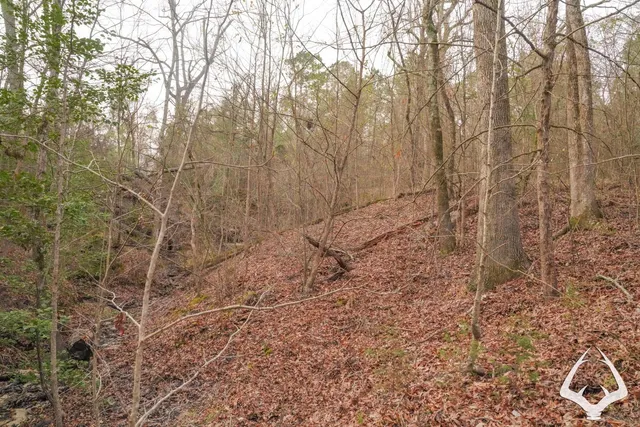 a bathroom with a shower curtain
