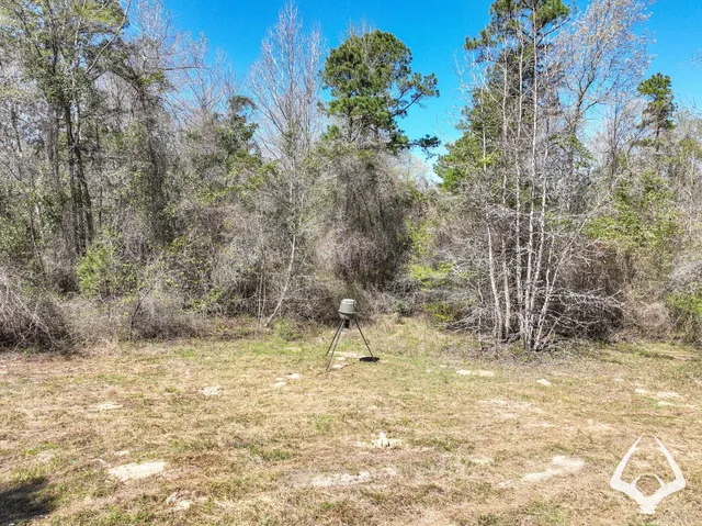 $398,400 | 3 County Road 435 D, Laneville, TX 75667