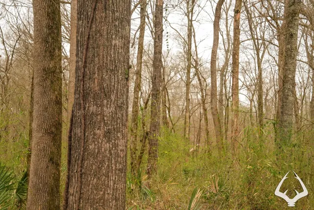 $398,400 | 3 County Road 435 D, Laneville, TX 75667