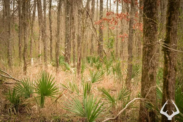 $398,400 | 3 County Road 435 D, Laneville, TX 75667