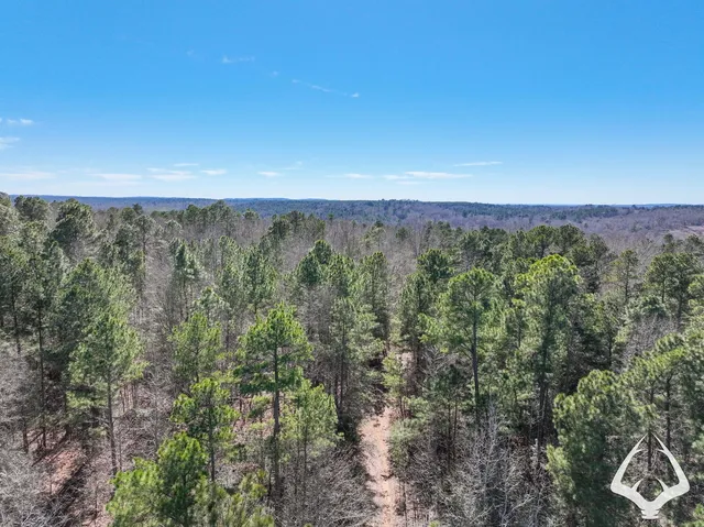 an aerial view of a forest with houses