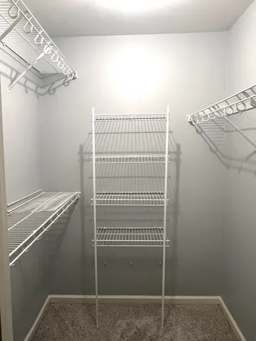 a bathroom with a window and a shower