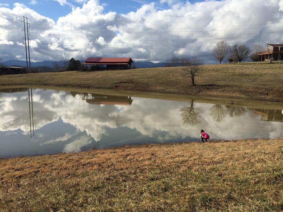 150 Brian Lane Clinton, TN 37716 - Photo 9 of 37 pond