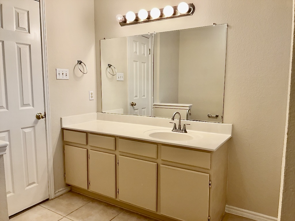 1313 Terra Street Round Rock, TX 78665 - Photo 15 of 25 a bathroom with a sink and a mirror