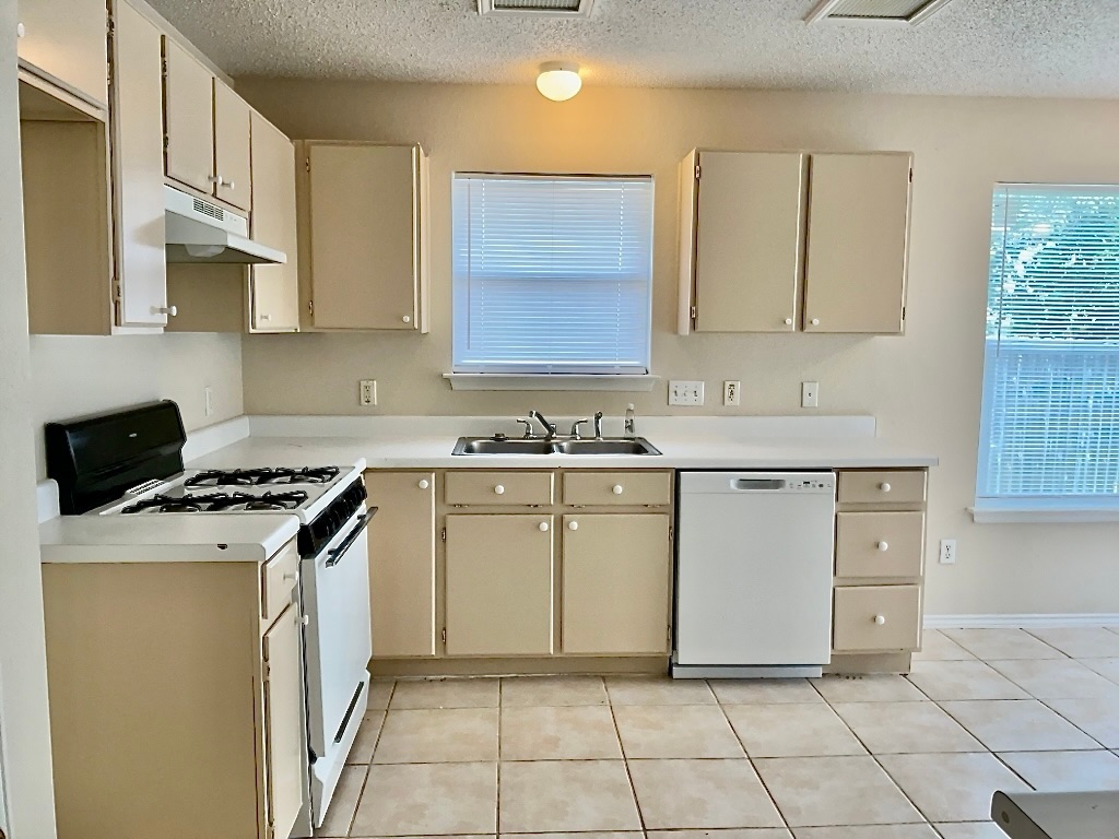 1313 Terra Street Round Rock, TX 78665 - Photo 5 of 25 a kitchen with white cabinets appliances and a sink
