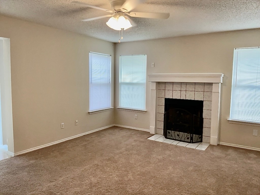 1313 Terra Street Round Rock, TX 78665 - Photo 10 of 25 an empty room with a fireplace and fan