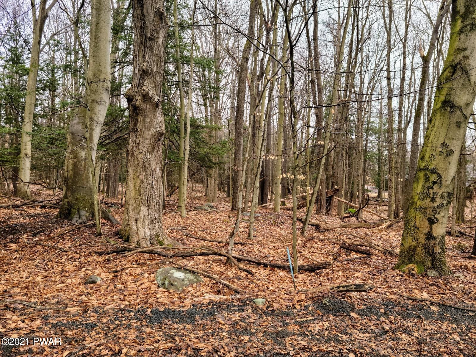 122 Reid Road Lake Ariel, PA 18436 - Photo 4 of 6