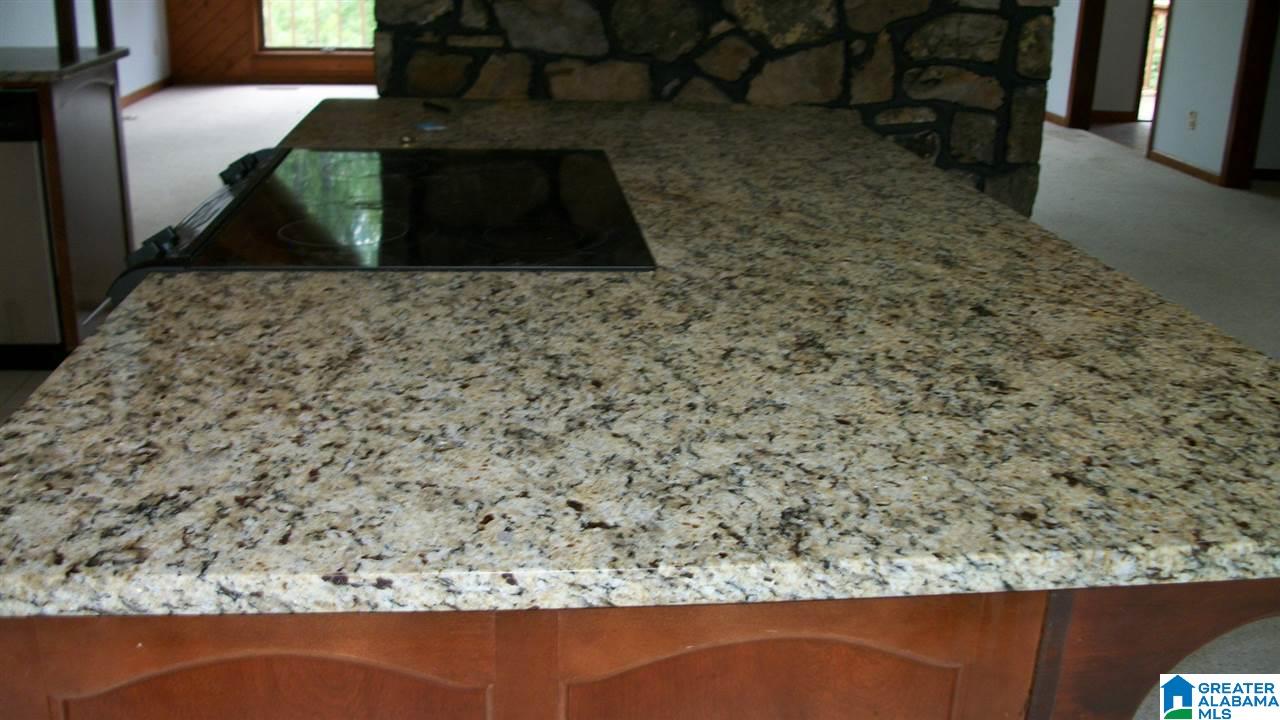 645 Hurst Road Odenville, AL 35120 - Photo 10 of 16