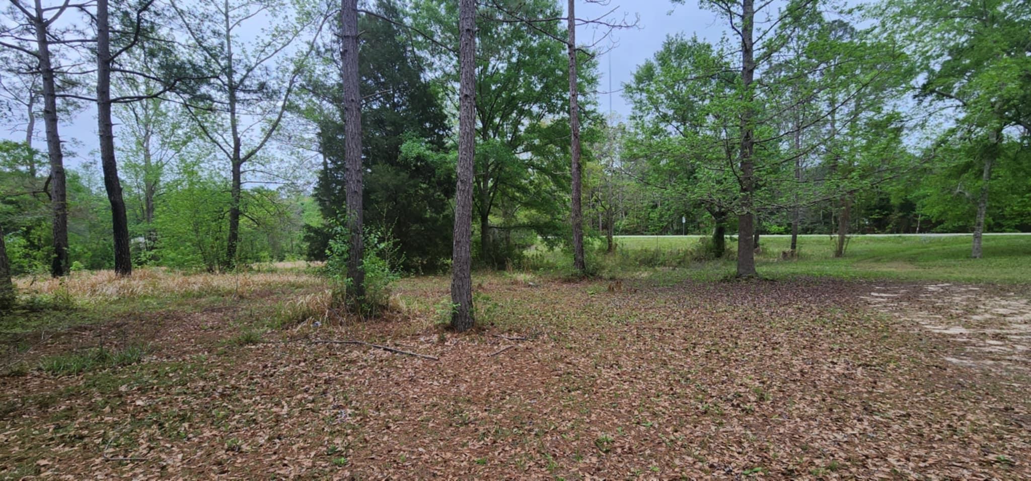 24407 Patterson Road Robertsdale, AL 36567 - Photo 8 of 18 Yard