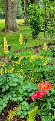 $338,900 | 3584 West Maple Road, Wixom, MI 48393