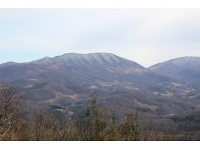 1567 Stone Mountain Road Trade, TN 37691 - Photo 20 of 24 RICH MOUNTAIN