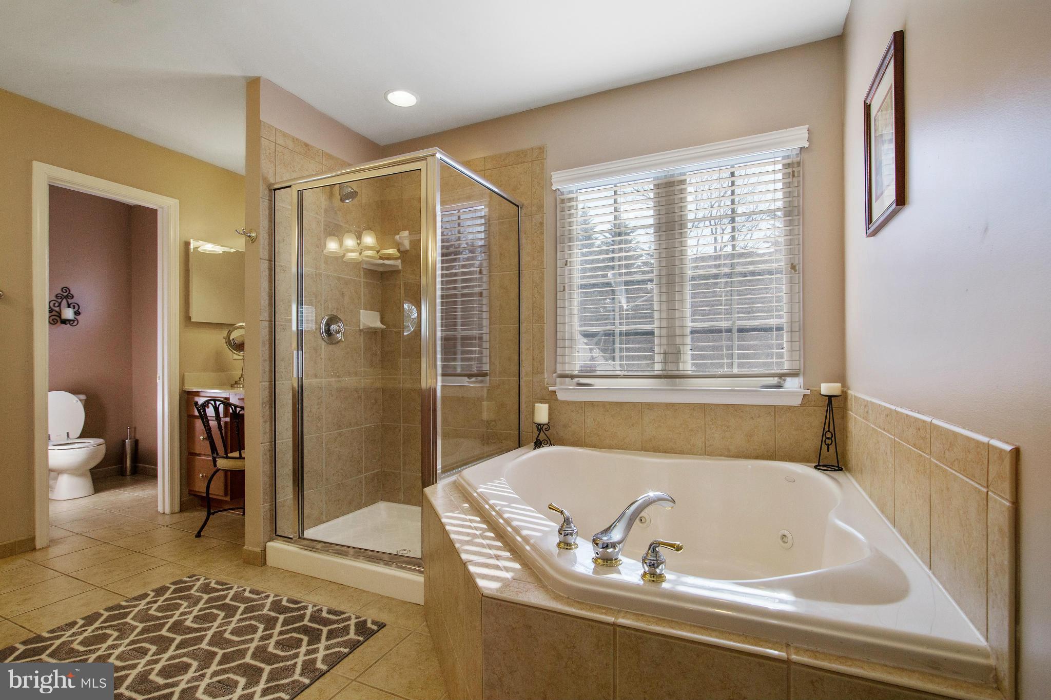 8327 Academy Road Ellicott City, MD 21043 - Photo 18 of 30 Luxury master bathroom