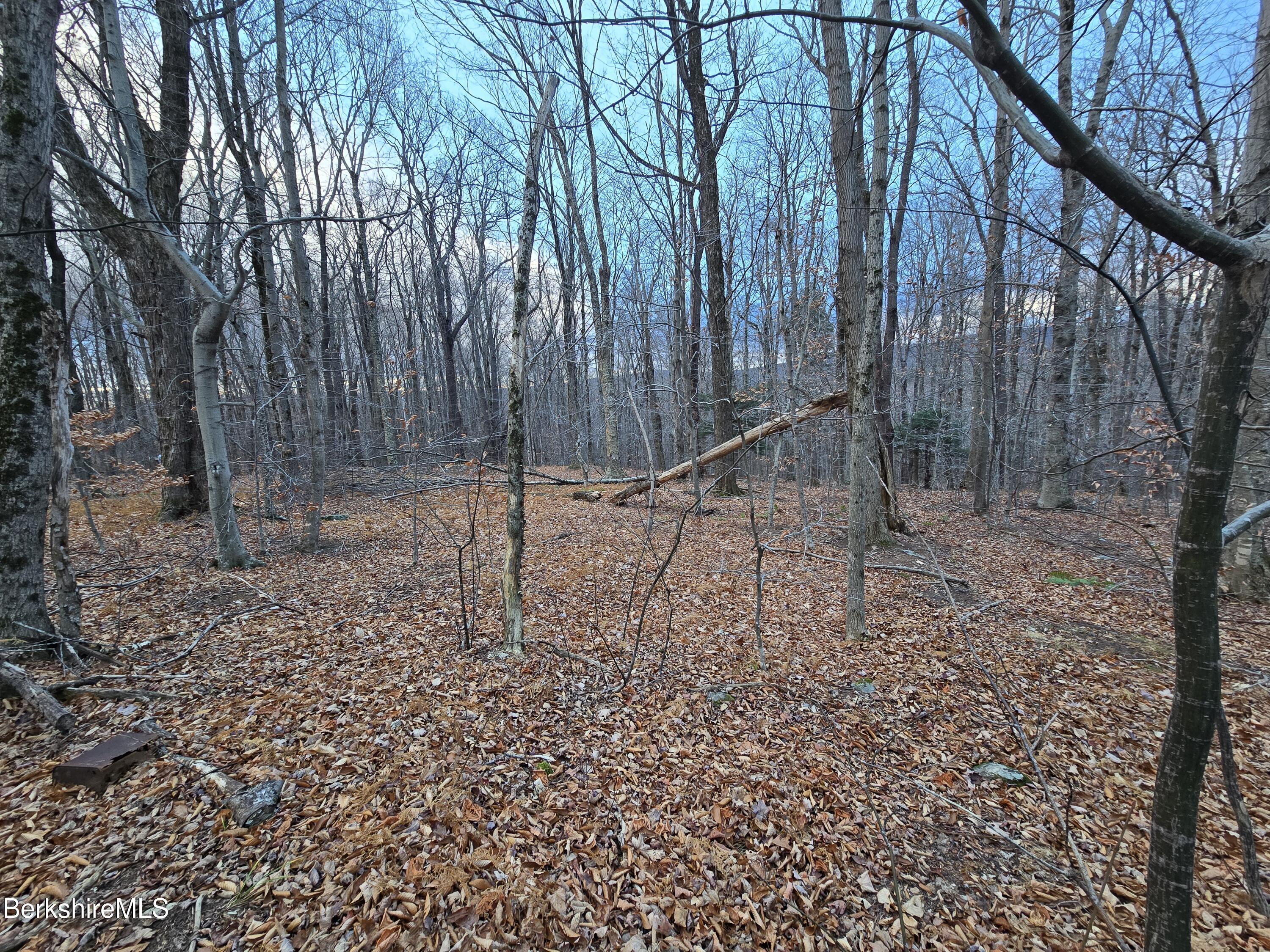 Monroe Road Drury, MA 01343 - Photo 2 of 2 a backyard of a house with lots of green space