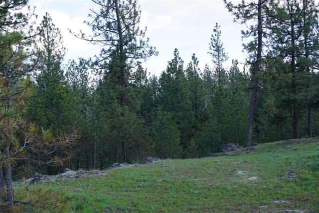 0 South Harmony Road Cheney, WA 99004 - Photo 14 of 19