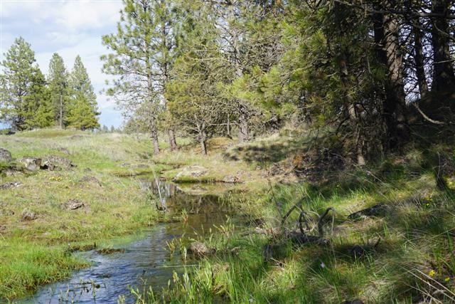 0 South Harmony Road Cheney, WA 99004 - Photo 17 of 19