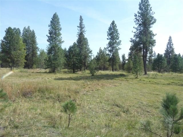 0 South Harmony Road Cheney, WA 99004 - Photo 3 of 19