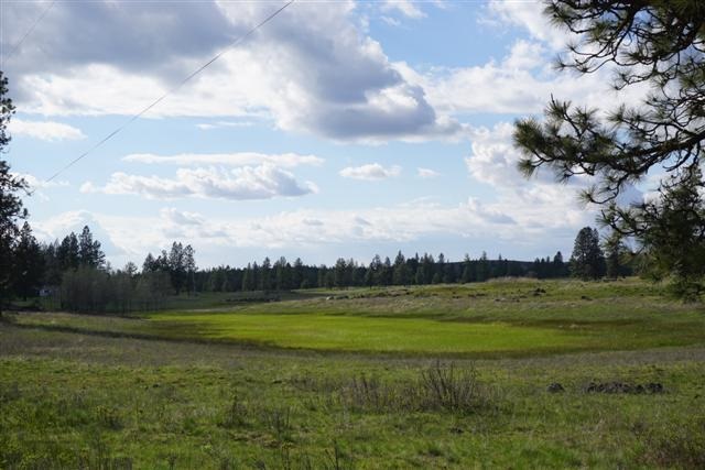 0 South Harmony Road Cheney, WA 99004 - Photo 5 of 19