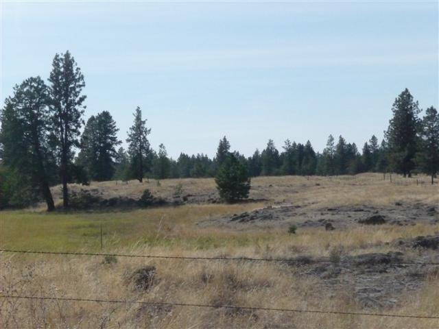 0 South Harmony Road Cheney, WA 99004 - Photo 7 of 19