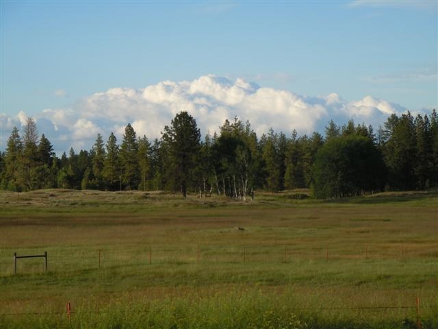 0 South Harmony Road Cheney, WA 99004 - Photo 8 of 19