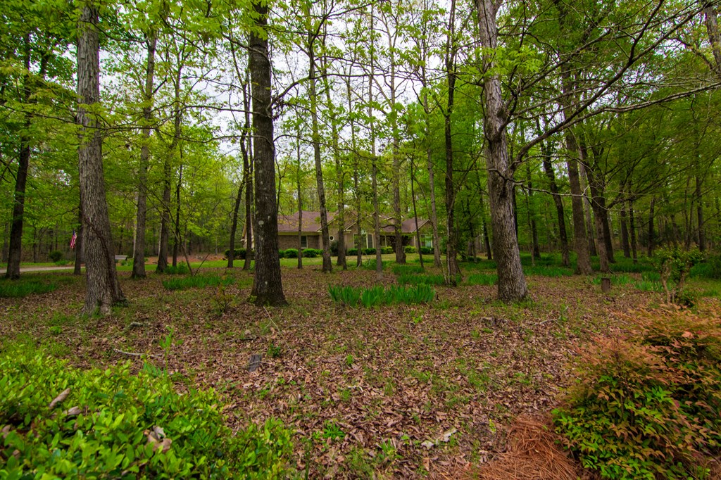 164 Almond Ridge Drive Fortson, GA 31808 - Photo 39 of 42 Gallery Image 39