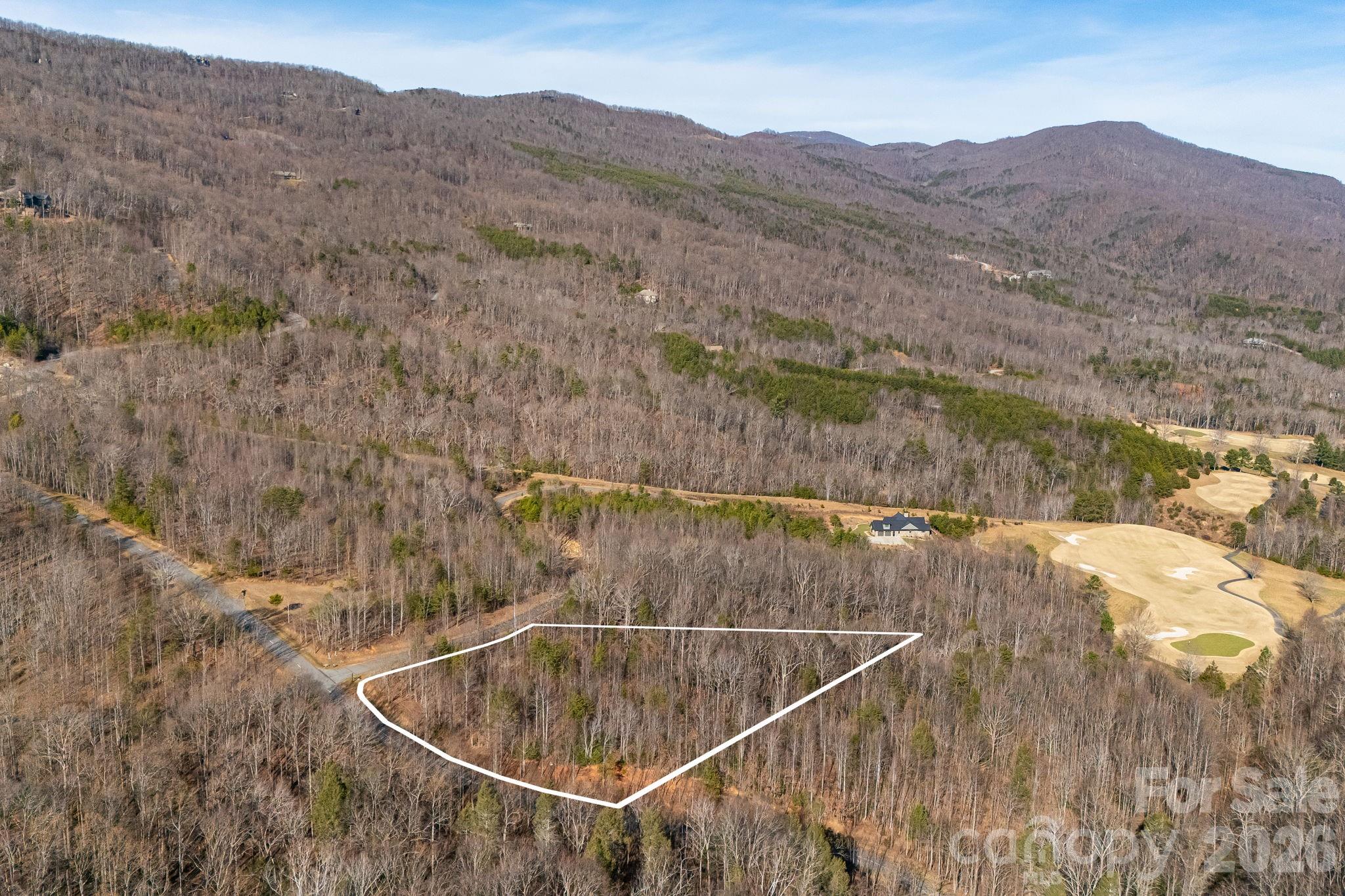 2049 West Deep Gap Farm Road Mill Spring, NC 28756 - Photo 6 of 16