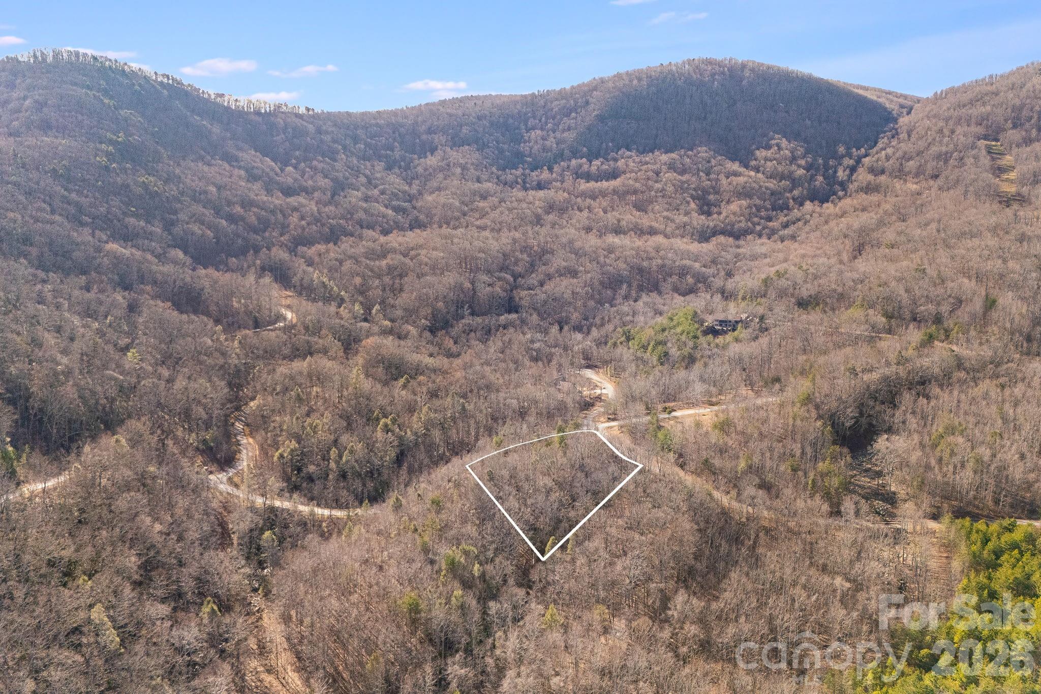 2049 West Deep Gap Farm Road Mill Spring, NC 28756 - Photo 7 of 16