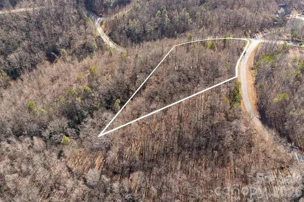 a view of a dry yard