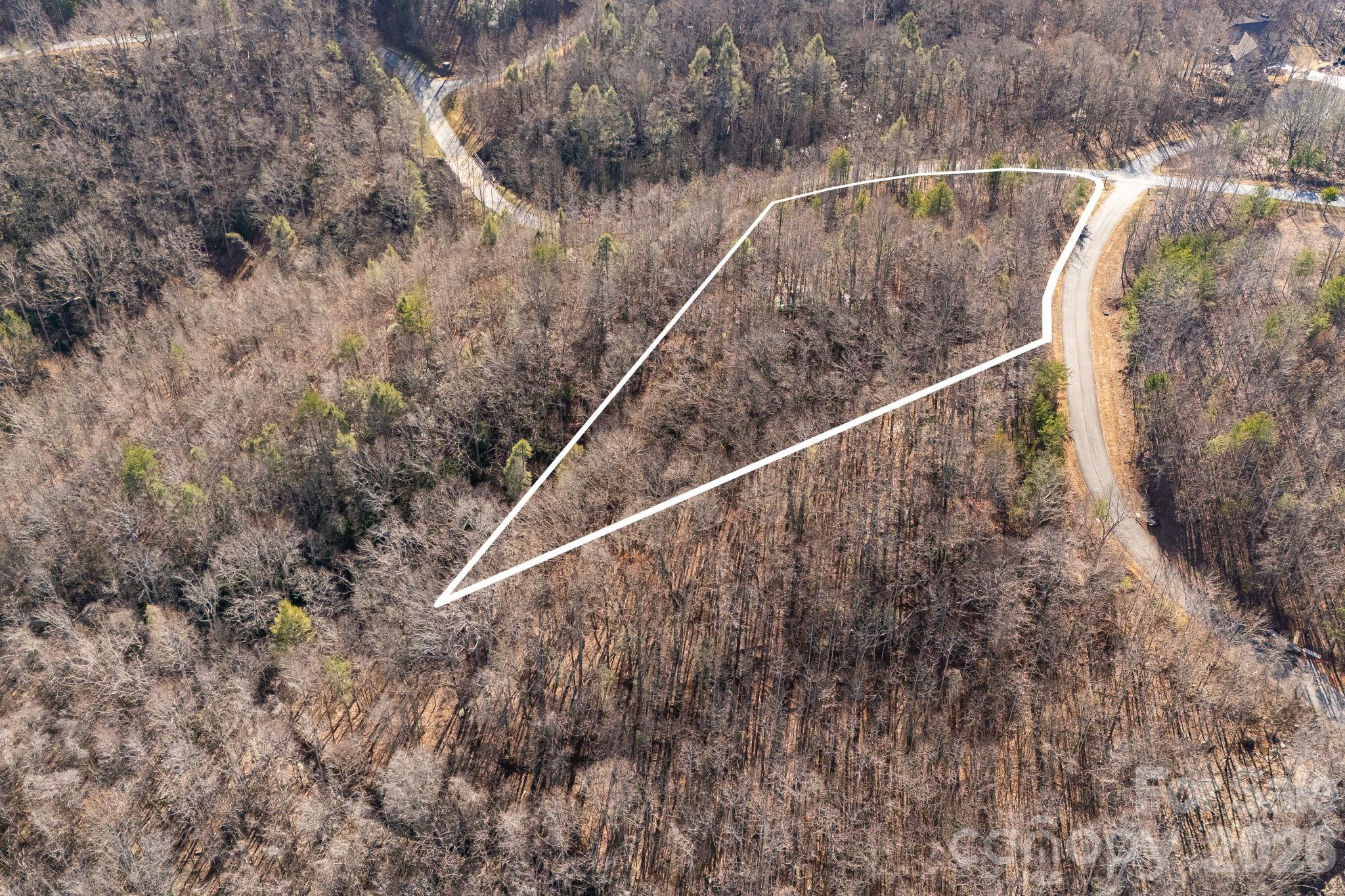 2049 West Deep Gap Farm Road Mill Spring, NC 28756 - Photo 8 of 16