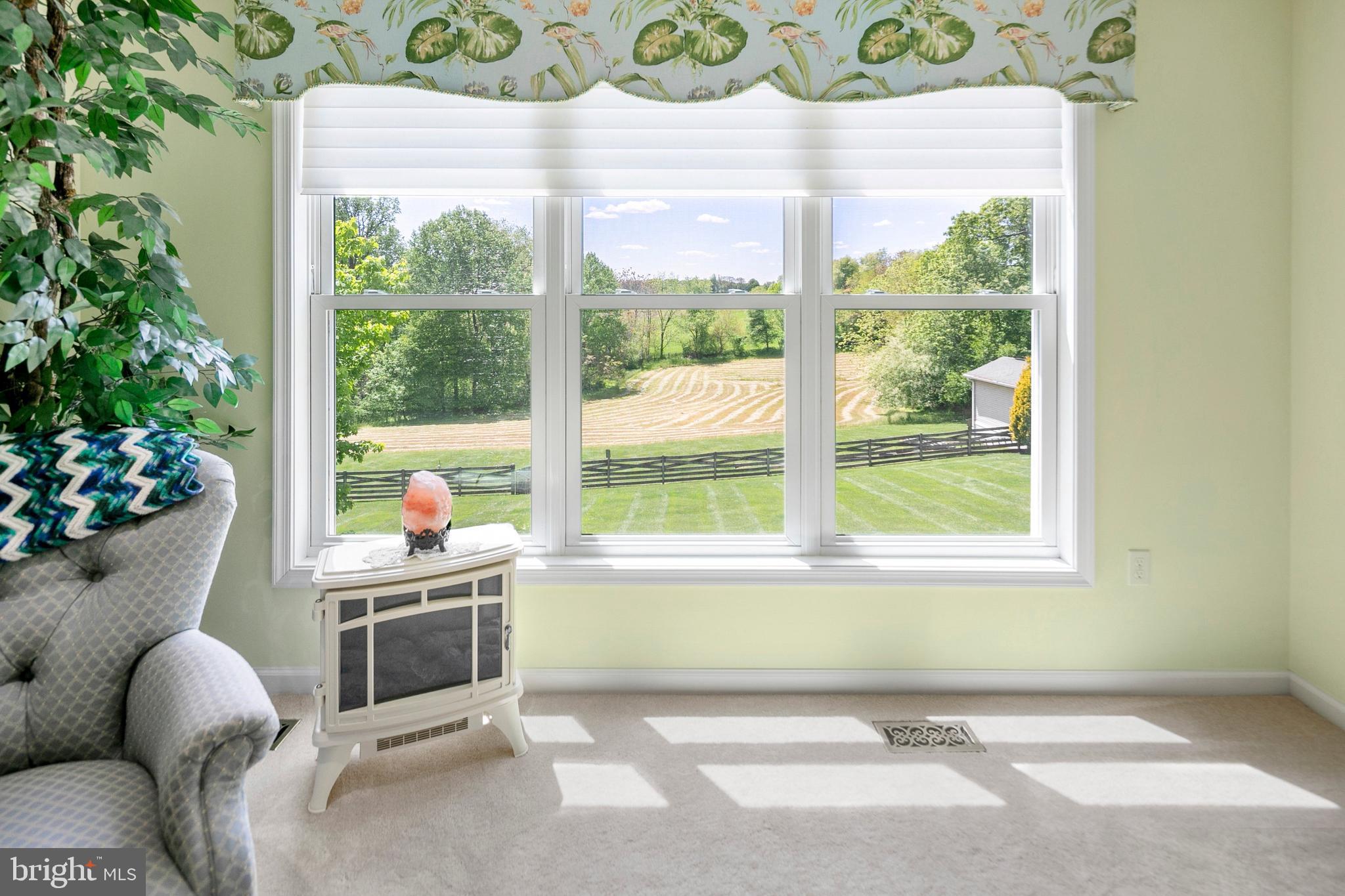 2899 Timber Ridge Drive Mount Airy, MD 21771 - Photo 33 of 46 Gallery Image 33