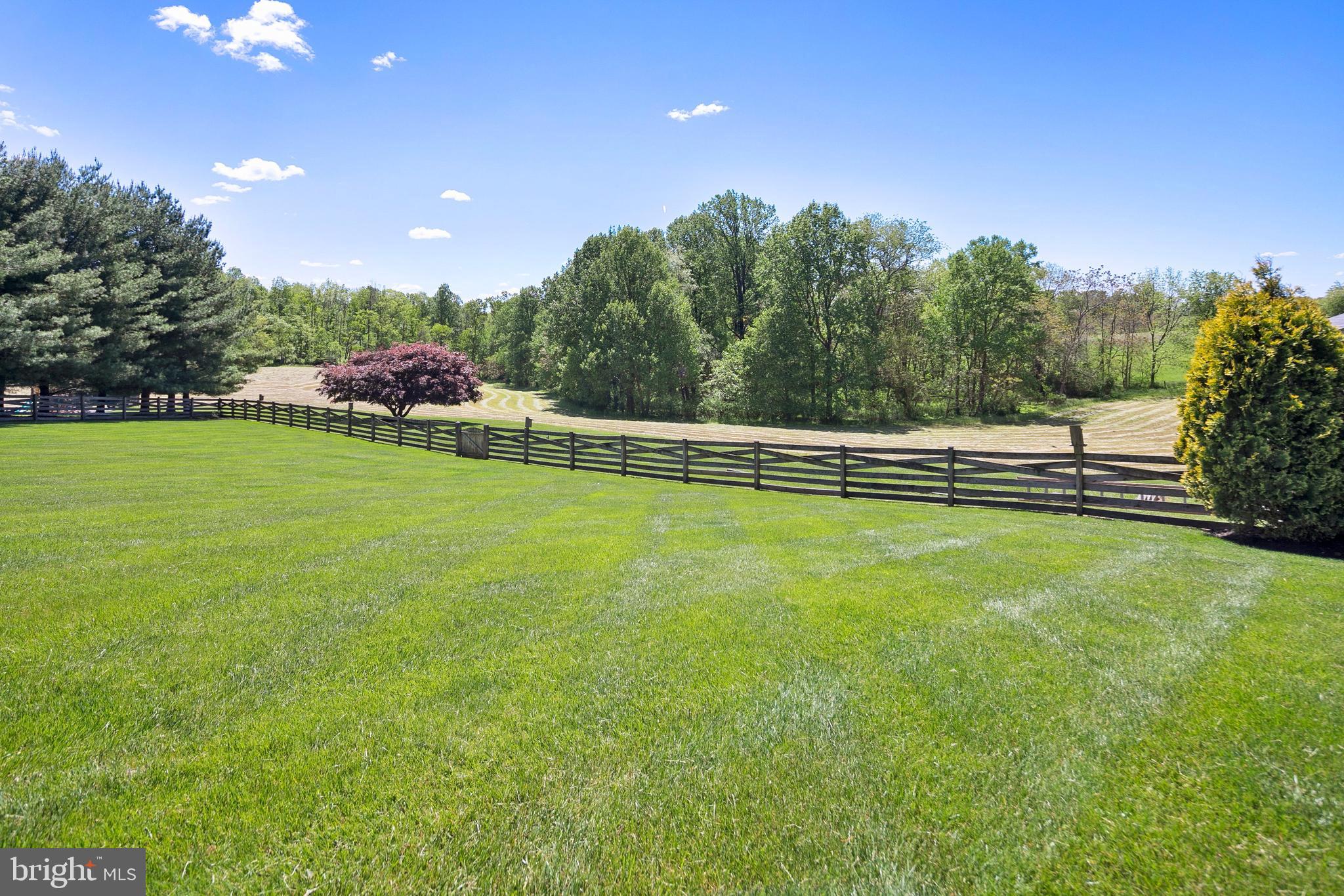 2899 Timber Ridge Drive Mount Airy, MD 21771 - Photo 9 of 46 Gallery Image 9