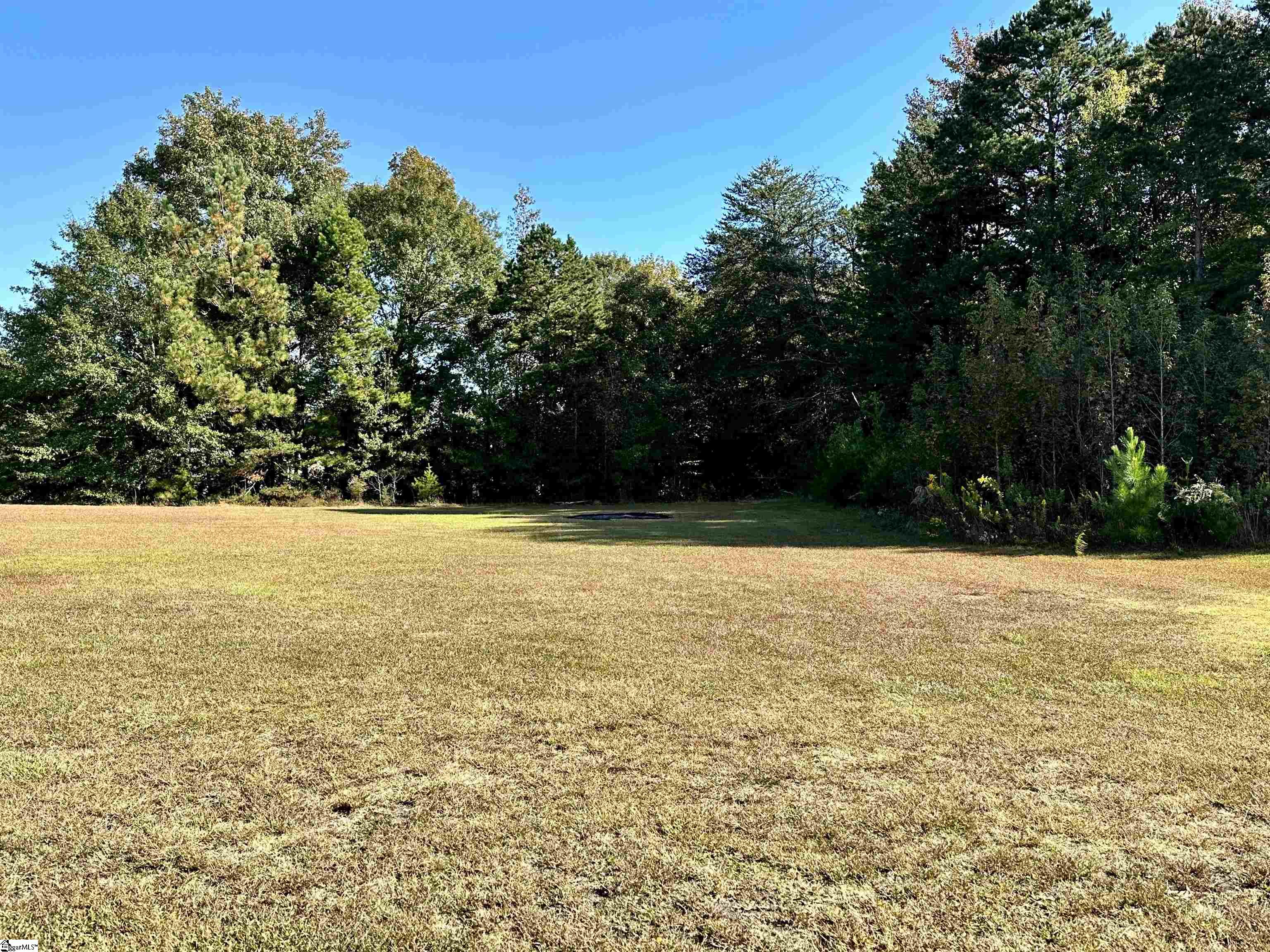 225 State Rd S-42-3140 Woodruff, SC 29388 - Photo 27 of 28