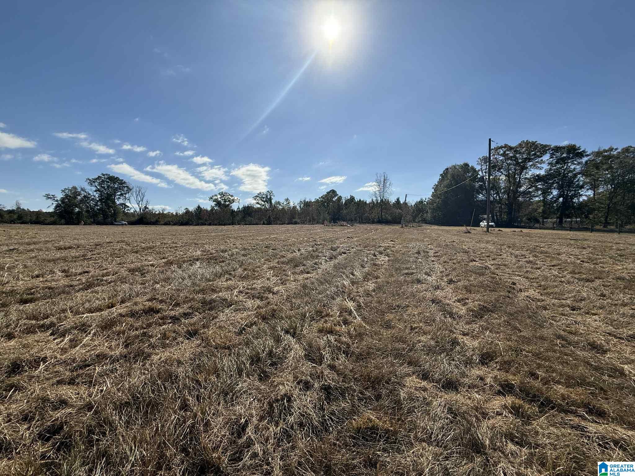 4353 County Road 232, Unit 7 Clanton, AL 35045 - Photo 4 of 5