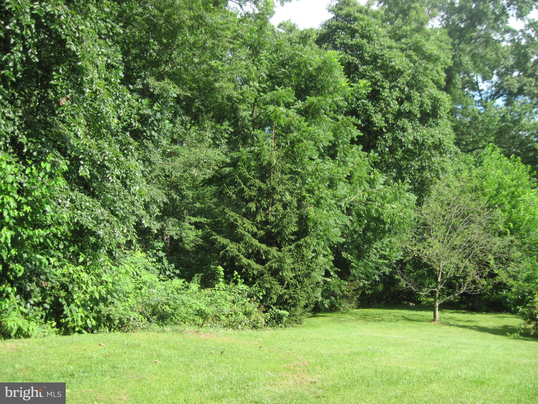 138 Tower Road Mertztown, PA 19539 - Photo 17 of 32