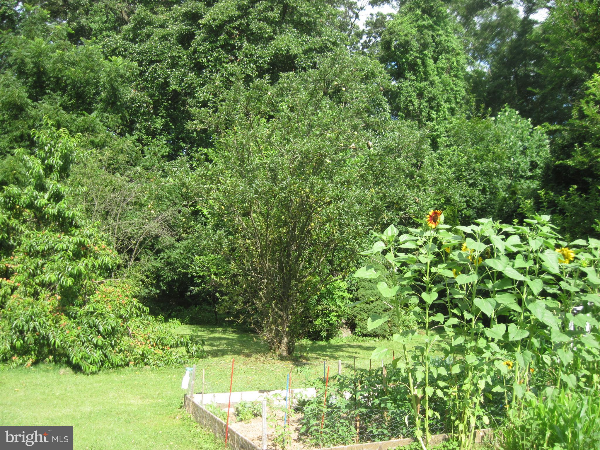 138 Tower Road Mertztown, PA 19539 - Photo 20 of 32