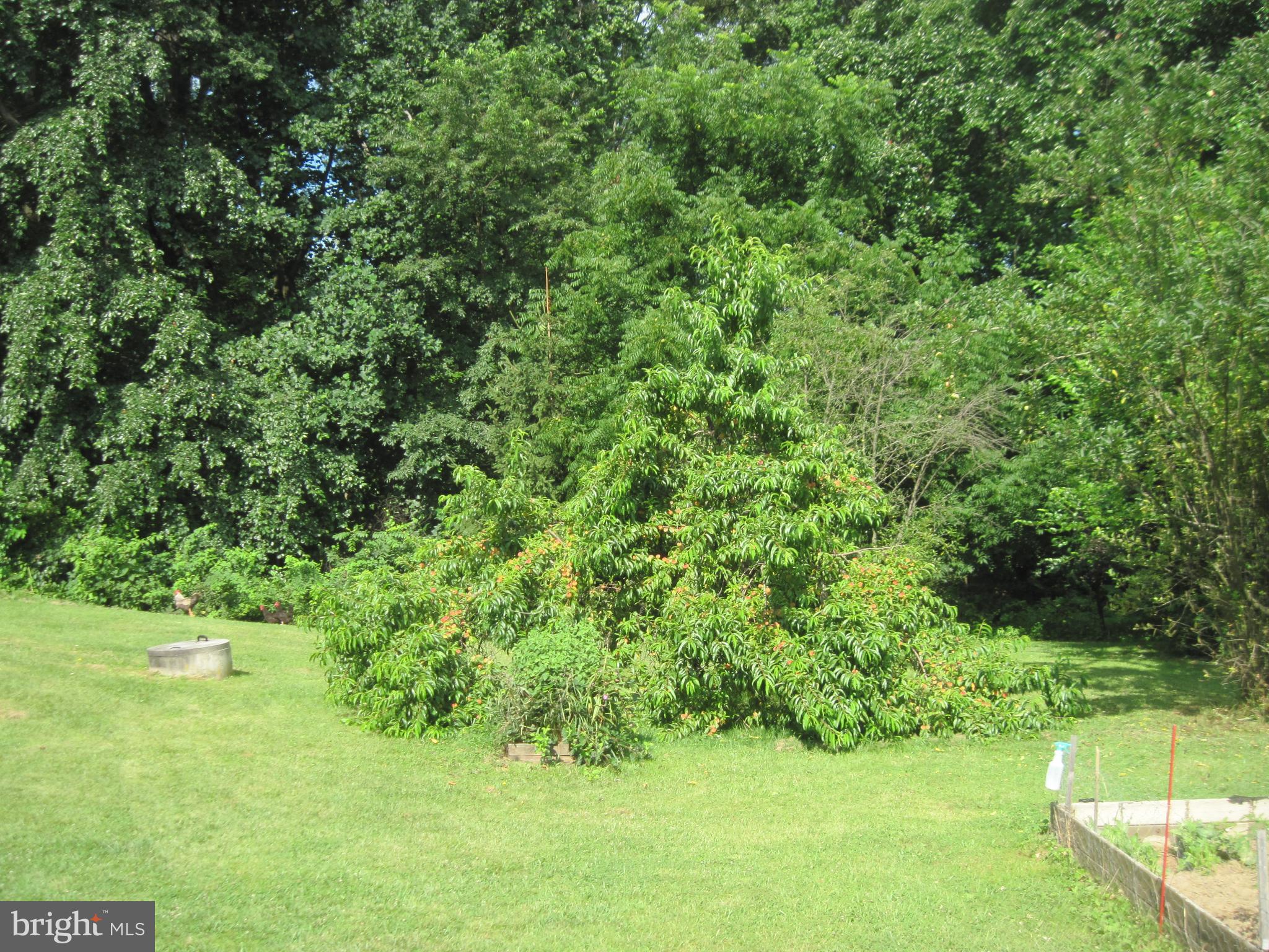 138 Tower Road Mertztown, PA 19539 - Photo 21 of 32