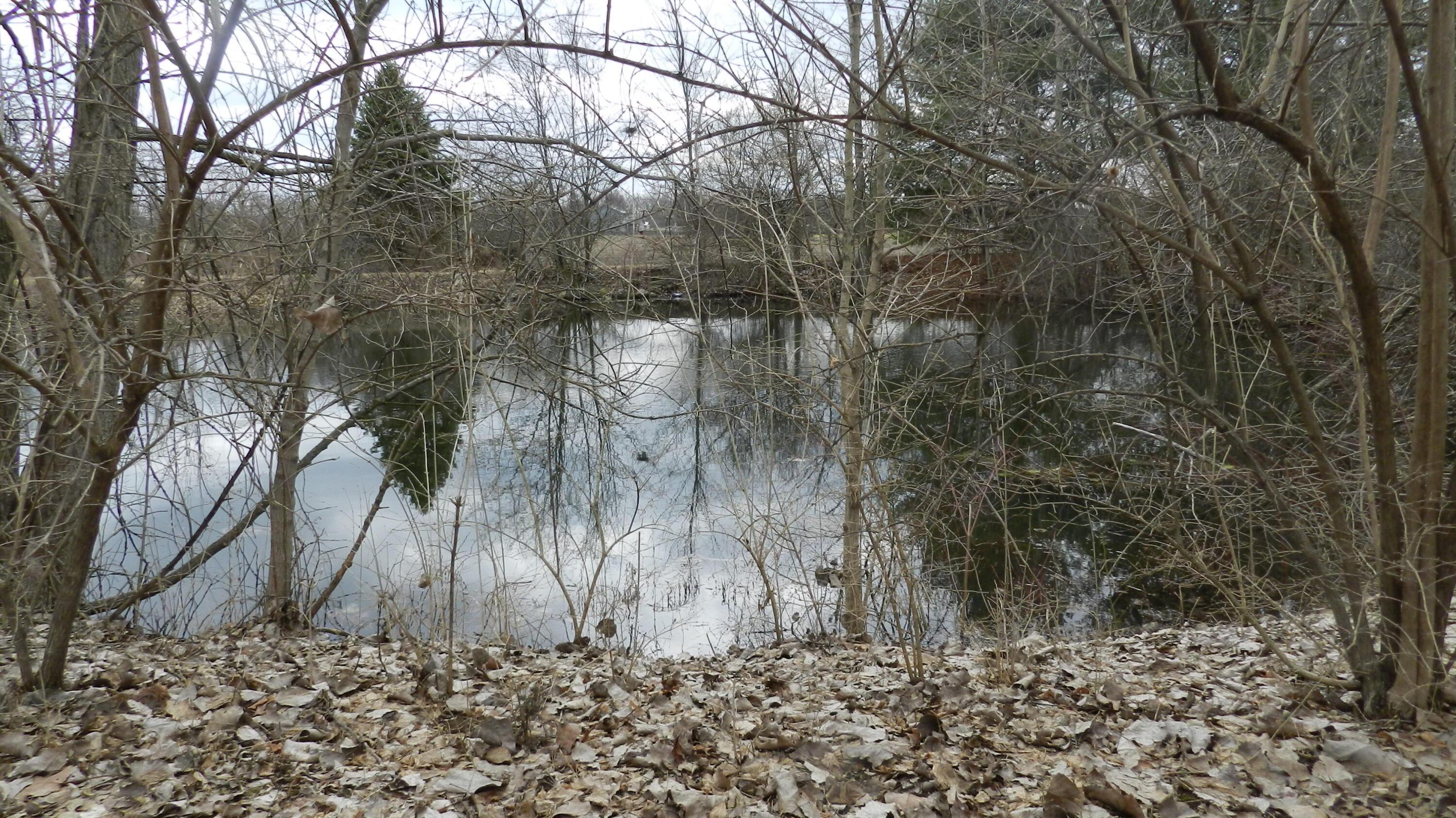 2595 Smeltzer Road Marion, OH 43302 - Photo 10 of 65 DSCN5167