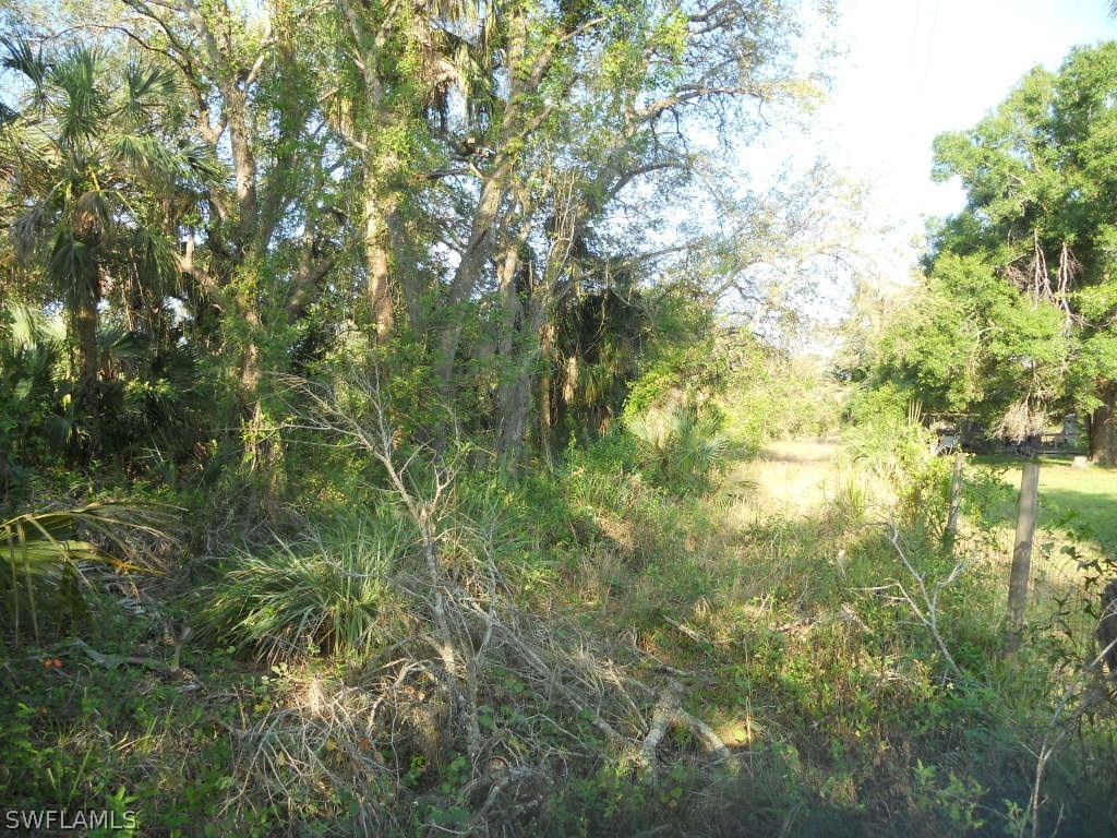 2030 Phillips Road LaBelle, FL 33935 - Photo 3 of 6 Gallery Image 3