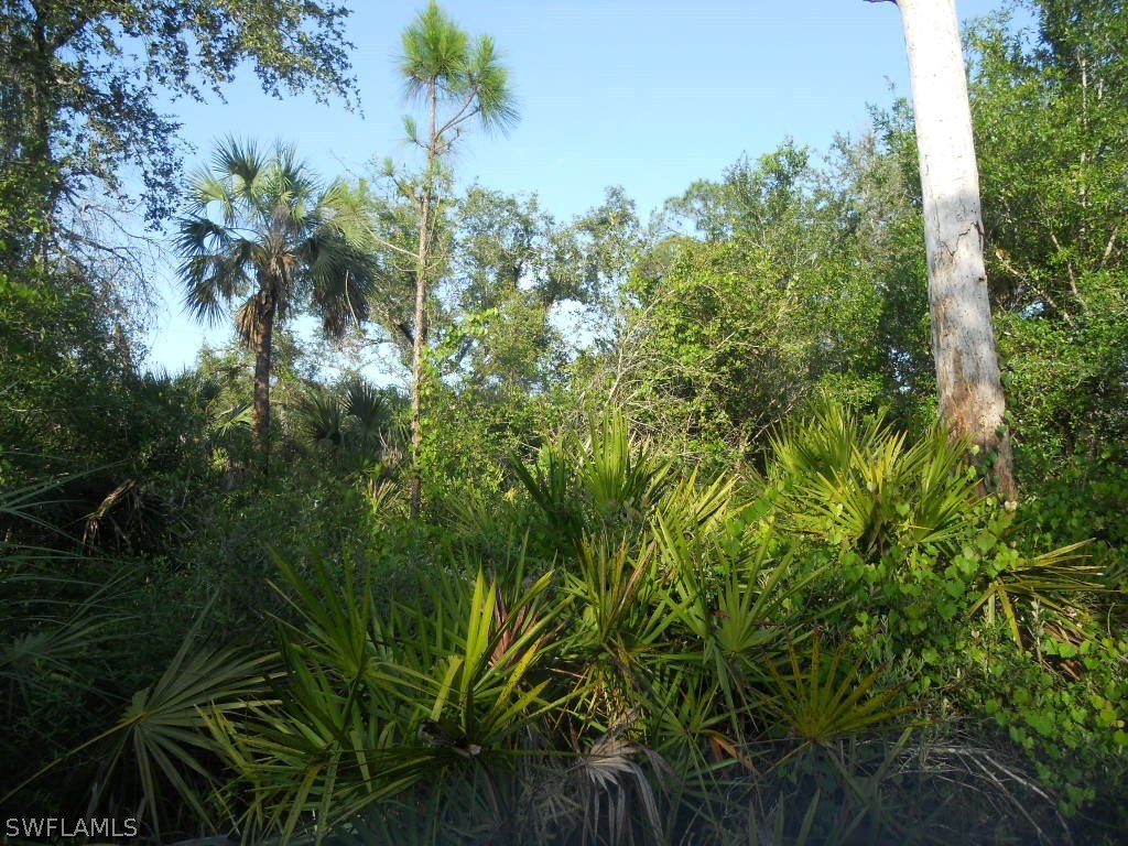 2030 Phillips Road LaBelle, FL 33935 - Photo 4 of 6 Gallery Image 4
