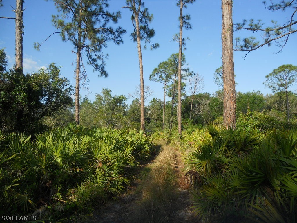 2030 Phillips Road LaBelle, FL 33935 - Photo 5 of 6 Gallery Image 5