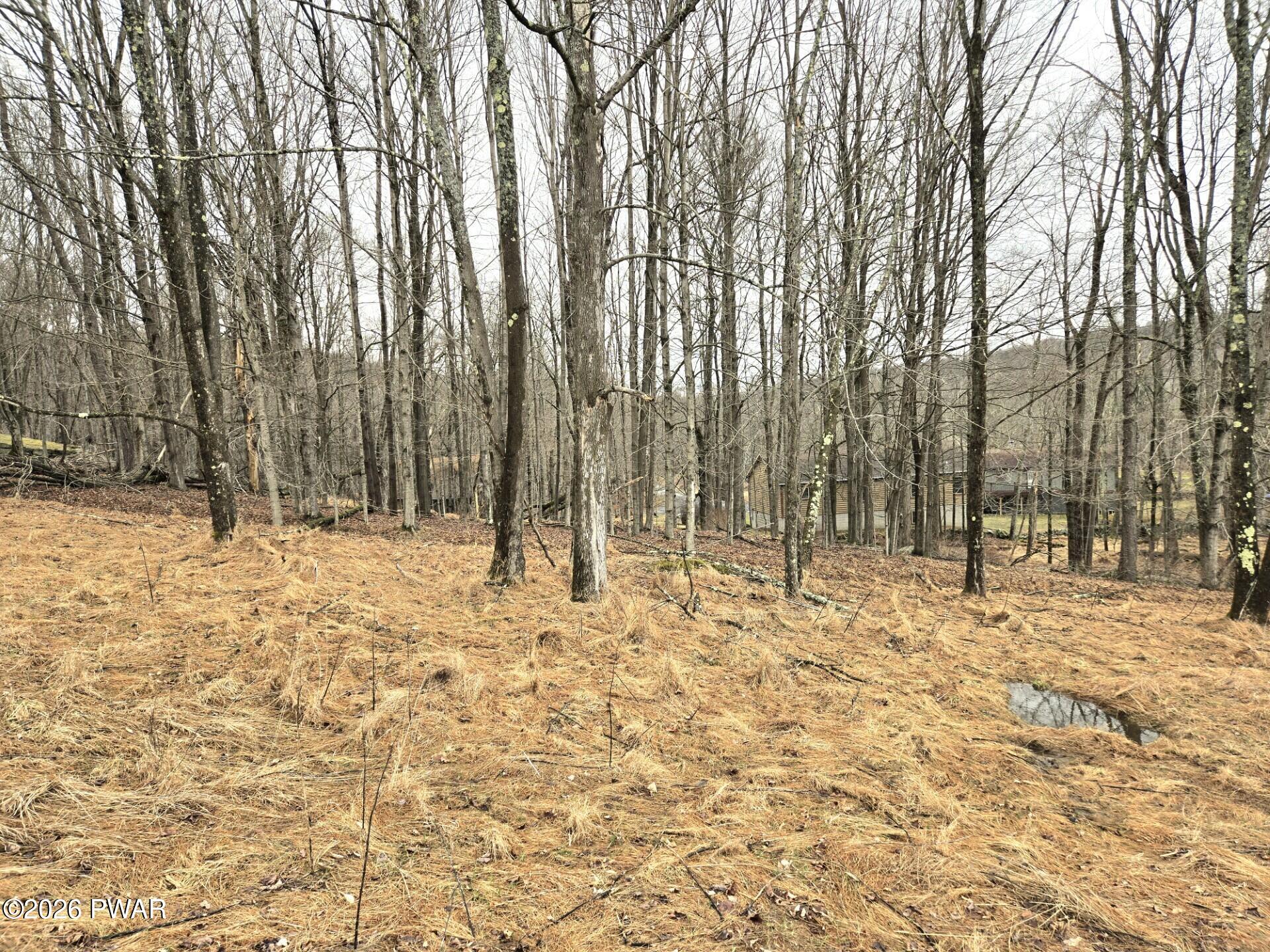 Lot 697 Black Bear Rd Lake Scranton, PA 18508 - Photo 4 of 8