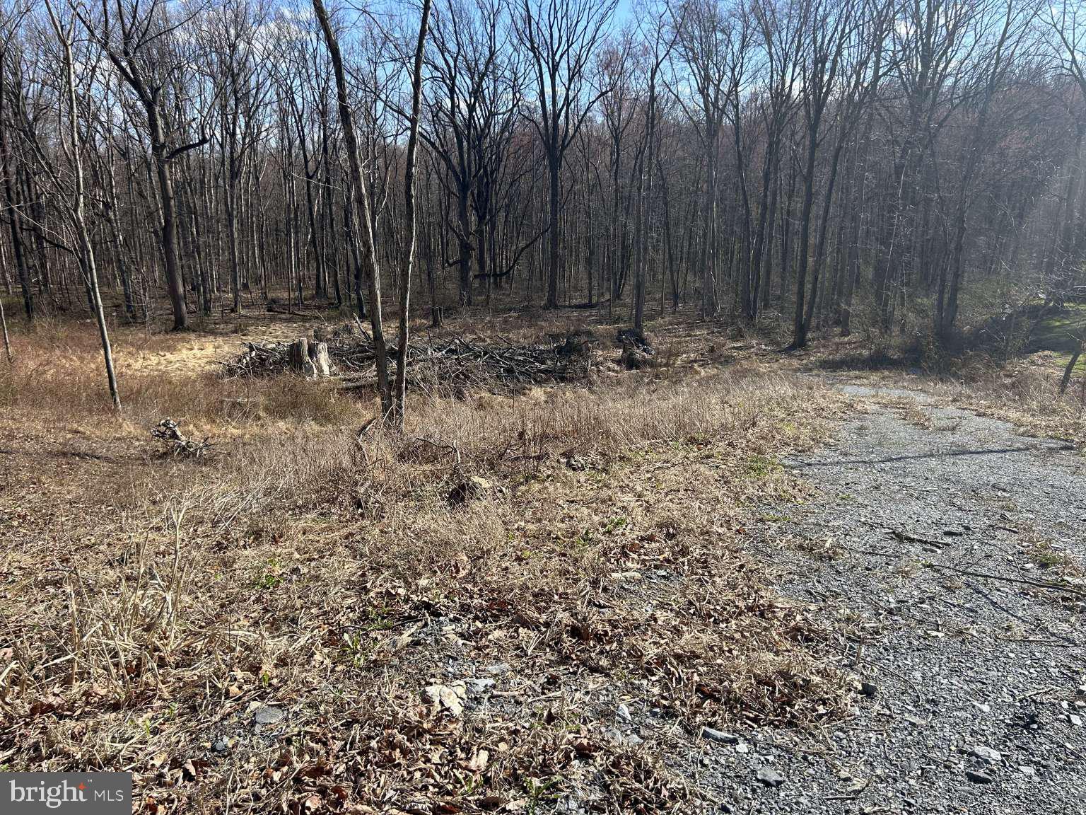 1404 Airport Road Coatesville, PA 19320 - Photo 3 of 12 a view of outdoor space with trees