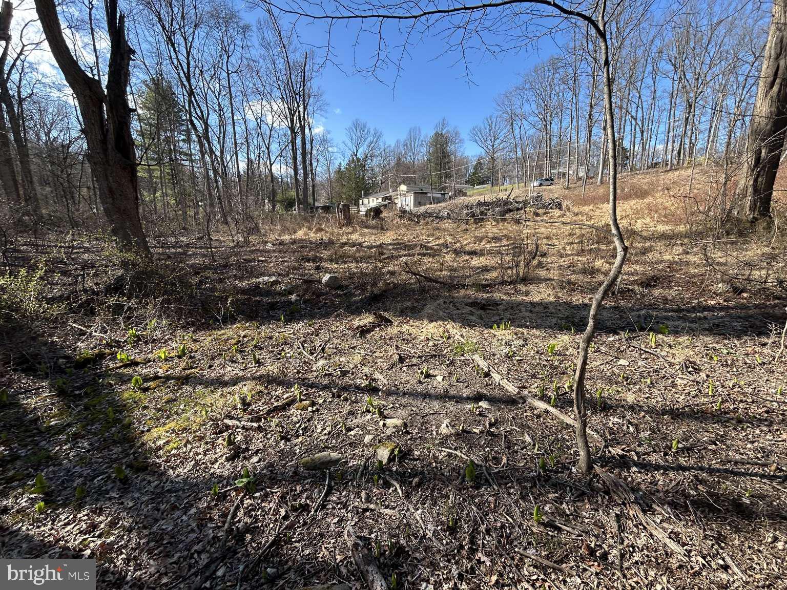 1404 Airport Road Coatesville, PA 19320 - Photo 10 of 12 a view of dirt yard