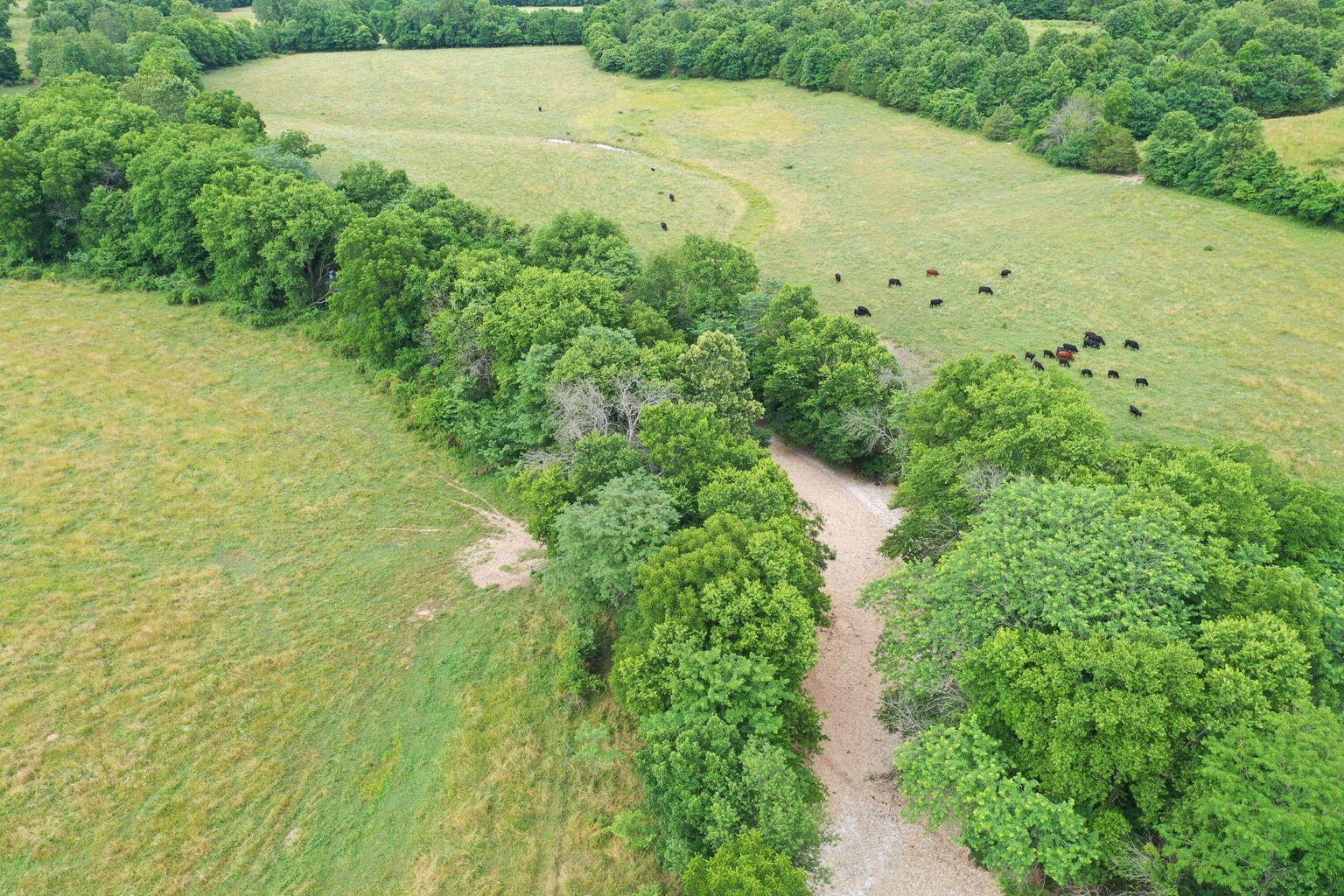 0 Harmony Road Seymour, MO 65746 - Photo 1 of 1 20220625041503639522000000-o