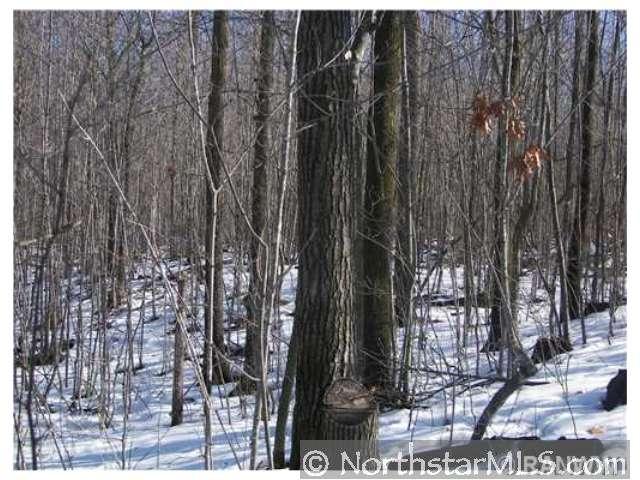 0 Norweigan Road Weyerhaeuser, WI 54895 - Photo 1 of 1 Gallery Image 1